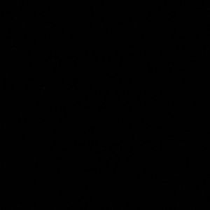 Meet your Posher, Buck